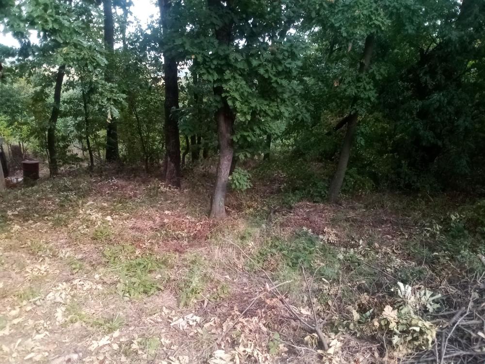 Slika 7 -  Plac na prodaju, Kosmaj, 26.400€